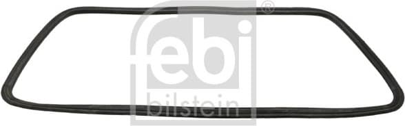 Seal, rear window 08893