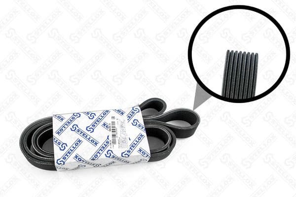 V-ribbed Belt 08-02080-SX