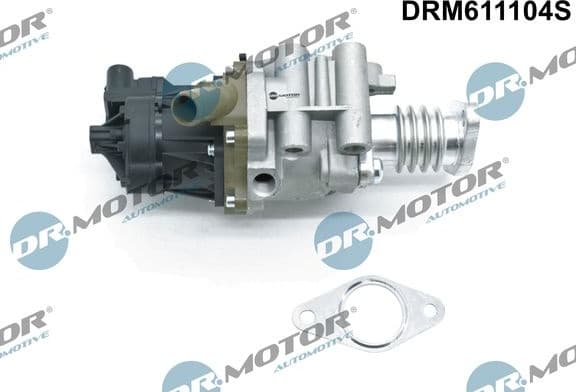 EGR Valve DRM611104S
