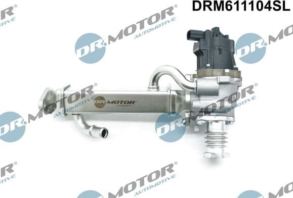 EGR Valve DRM611104SL