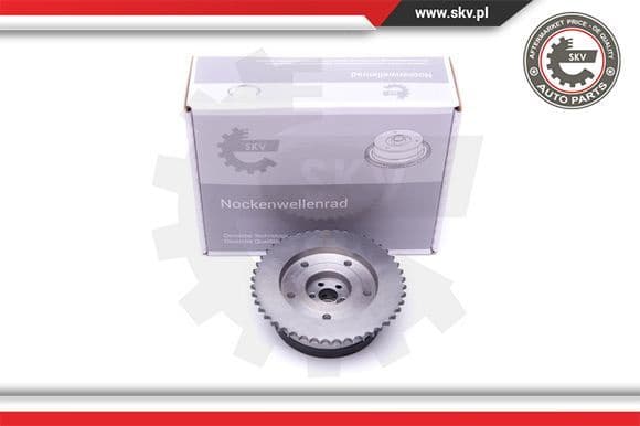 Camshaft Adjuster 39SKV503