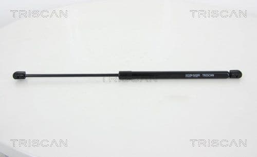 Gas Spring, boot/cargo area 8710 29294