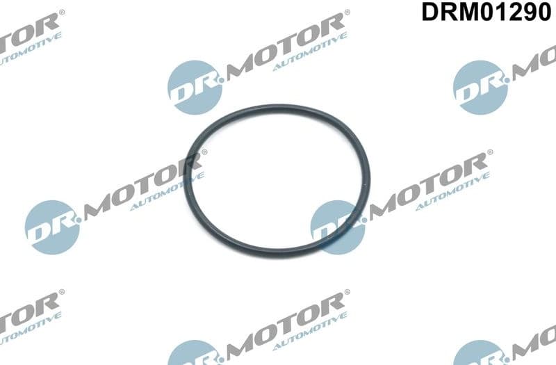 Seal Ring, timing chain tensioner DRM01290