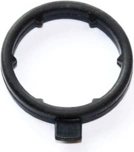 Gasket, coolant flange 248.230
