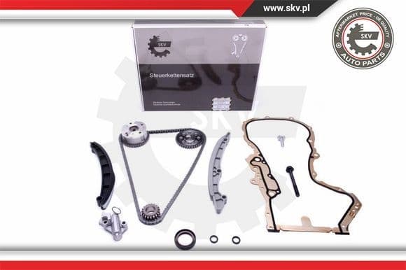 Timing Chain Kit 21SKV234