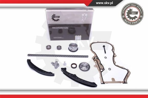 Timing Chain Kit 21SKV159