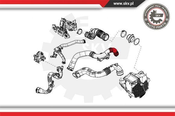 Charge Air Hose 24SKV833 - image 4