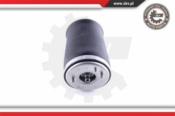 Air Spring, suspension 58SKV003 - image 2