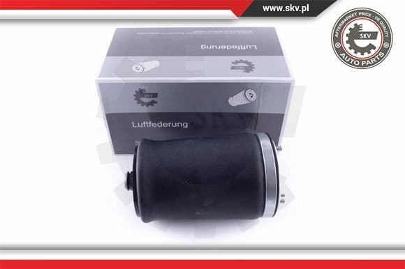 Air Spring, suspension 58SKV004