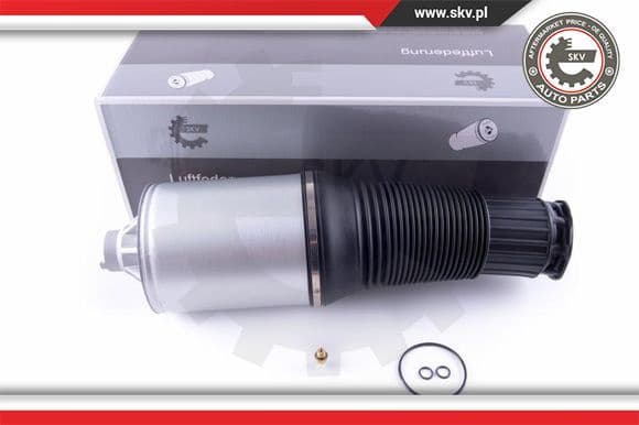 Air Spring, suspension 58SKV034