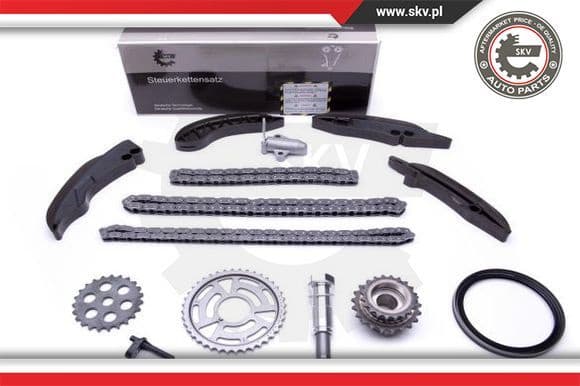 Timing Chain Kit 21SKV196