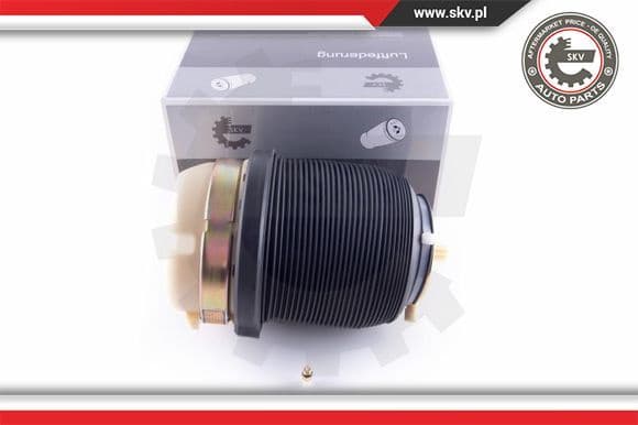 Air Spring, suspension 58SKV029