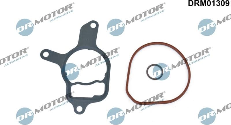 Seal Set, vacuum pump DRM01309