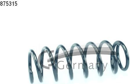 Suspension Spring 14875315