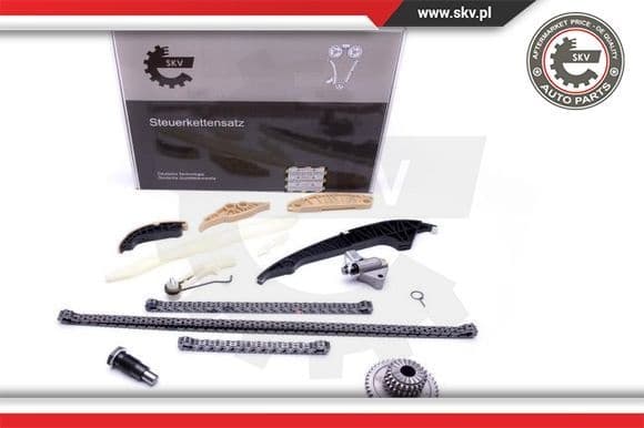 Timing Chain Kit 21SKV139