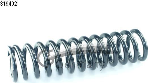 Suspension Spring 14319402