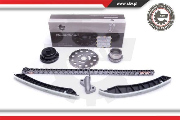 Timing Chain Kit 21SKV193