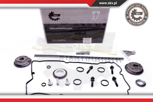 Timing Chain Kit 21SKV117