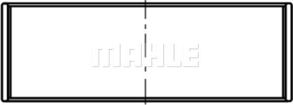 Connecting Rod Bearing 029 PL 21925 050