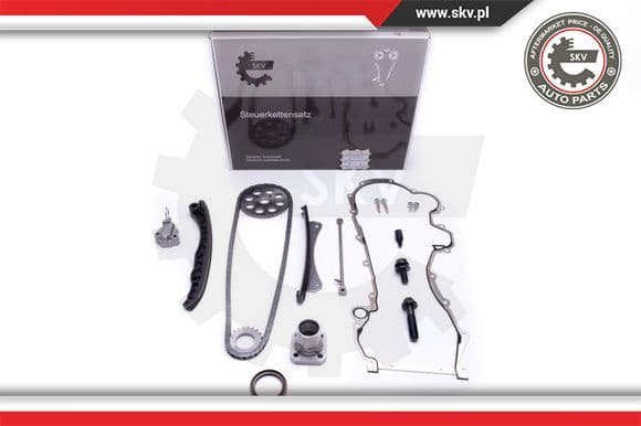 Timing Chain Kit 21SKV220