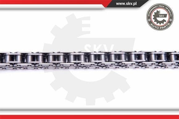 Timing Chain Kit 21SKV169 - image 3