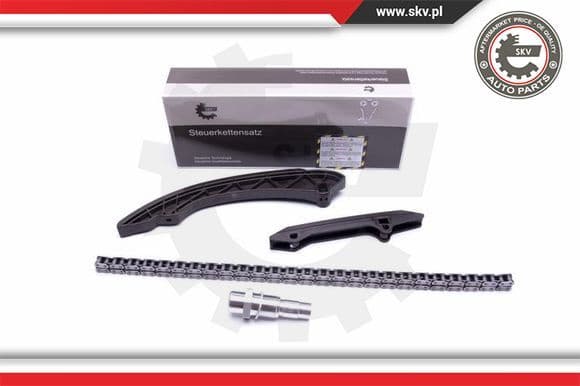 Timing Chain Kit 21SKV136