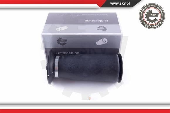 Air Spring, suspension 58SKV021