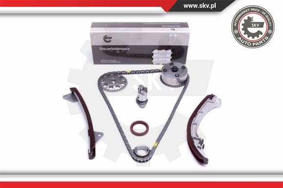Timing Chain Kit 21SKV215