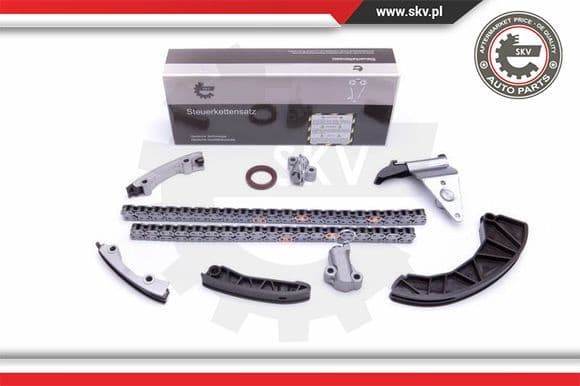 Timing Chain Kit 21SKV226
