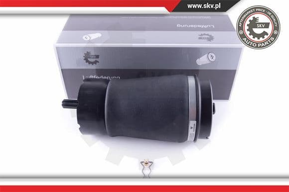 Air Spring, suspension 58SKV013