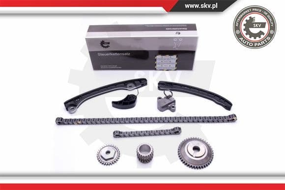 Timing Chain Kit 21SKV248