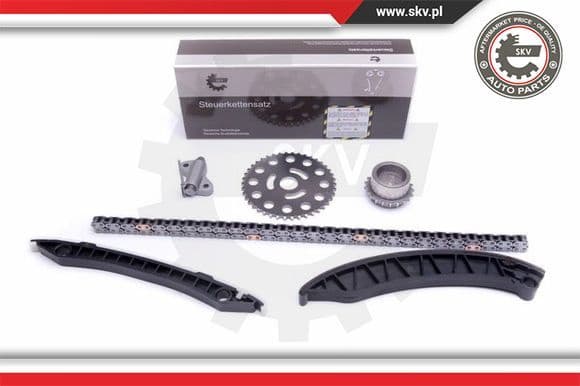 Timing Chain Kit 21SKV246