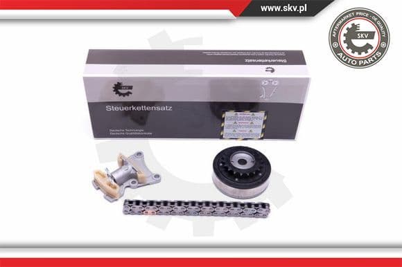 Timing Chain Kit 21SKV115