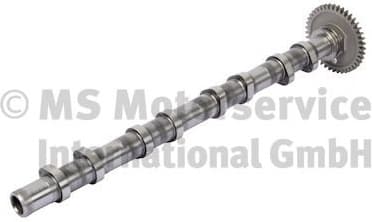 Camshaft 50007785