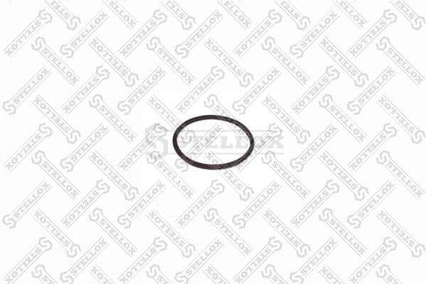 Seal Ring, spring link 81-01002-SX
