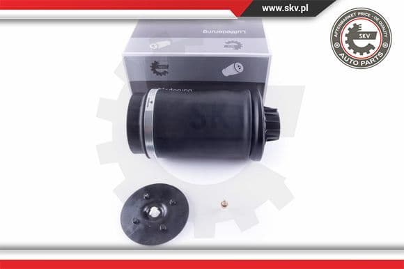 Air Spring, suspension 58SKV020