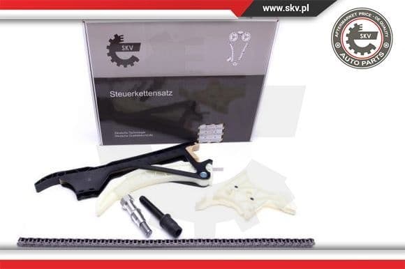 Timing Chain Kit 21SKV131