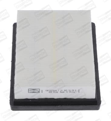 Air Filter CAF101301P