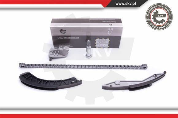 Timing Chain Kit 21SKV134