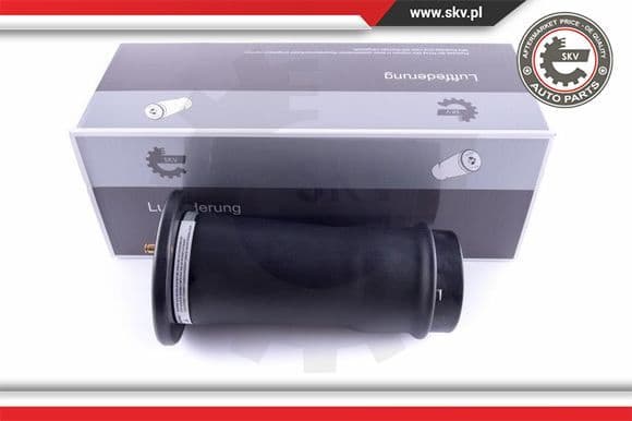 Air Spring, suspension 58SKV039