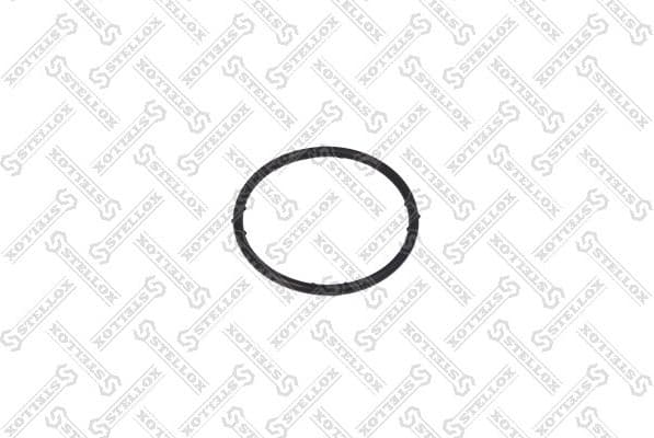 Gasket, coolant flange 89-01164-SX