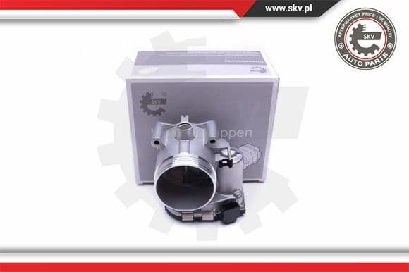 Throttle Body 12SKV088