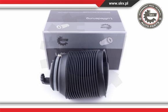 Air Spring, suspension 58SKV006