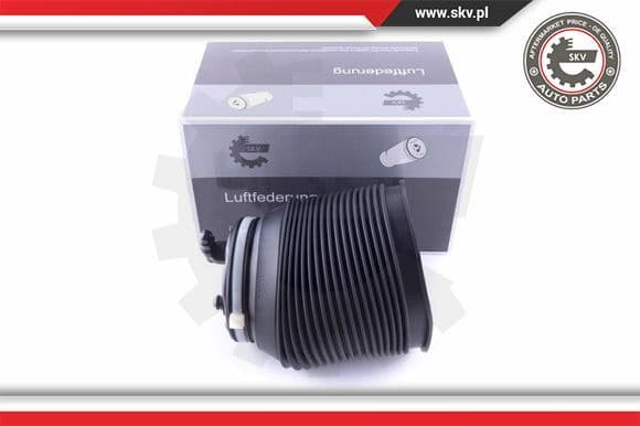Air Spring, suspension 58SKV005