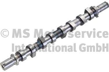 Camshaft 50007076