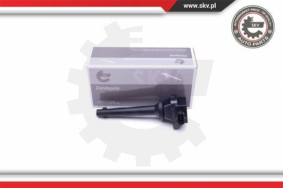 Ignition Coil 03SKV305