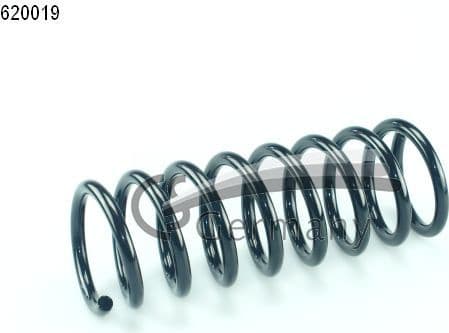Suspension Spring 14620019