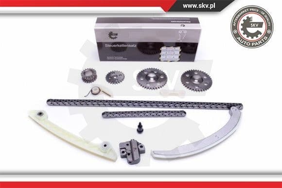 Timing Chain Kit 21SKV231