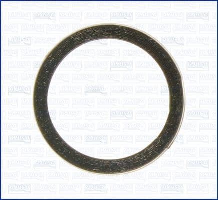 Seal Ring, exhaust pipe 19005400
