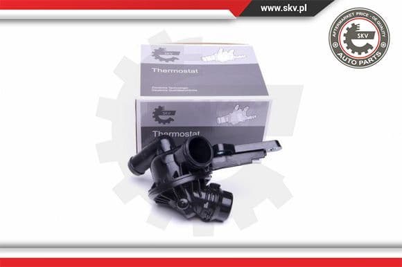 Thermostat, coolant 20SKV098